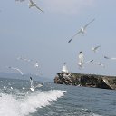 ���� ��������, ����������, 65 ��� - ��������� 25 ���� 2019 � ������ ������� 19�