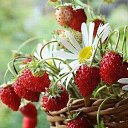 ���� Lilita, �������, 56 ��� - ��������� 15 ���� 2019 � ������ ���� ����������