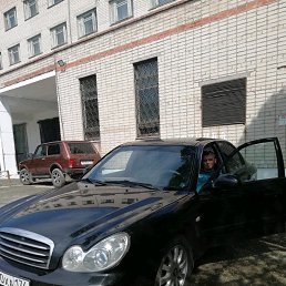 ������, �����������, 35 ���