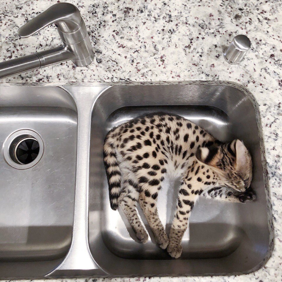 Koa a 1.000.000 e.   o aoc a o oo Caaa. B CA ce ... - 10