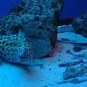 ���� �������, �������, 41 ��� - ��������� 11 ������� 2019 � ������ ���� ����������