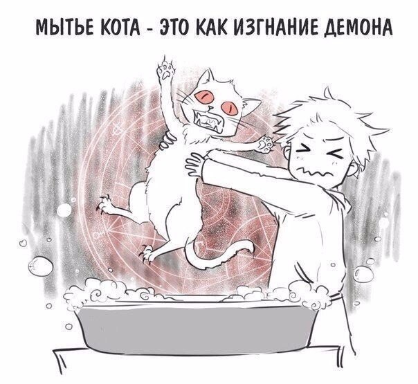    - 29  2019  03:28