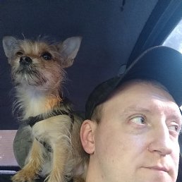 ���������, �������, 43 ����