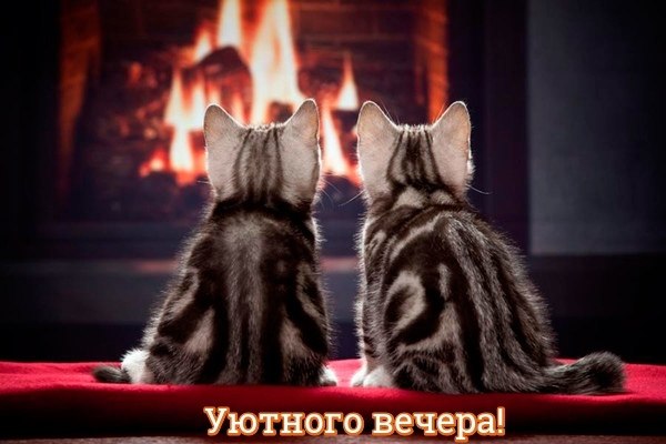 ПРИВЕТСТВИЯ и ПОЖЕЛАНИЯ, открытки на каждый день. - 18 декабря 2019 в 17:43