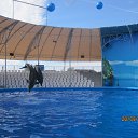 ���� ��������, �������-���������, 70 ��� - ��������� 27 ��� 2019 � ������ ������ ��������