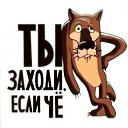 ���� ���������, ������ - ��������� 13 �������� 2019 � ������ ���� ����������