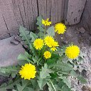 ���� �����, �������, 64 ���� - ��������� 12 ���� 2019 � ������ ������ ��������