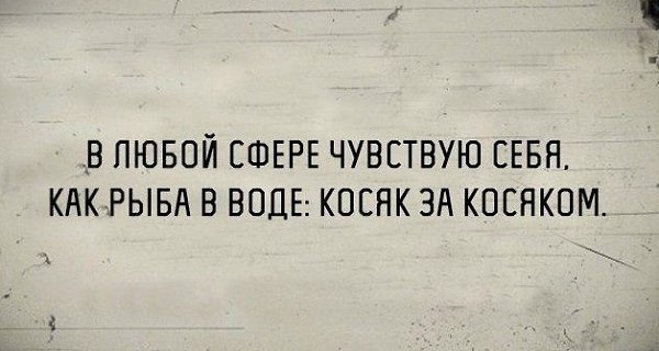   - 18  2019  15:08