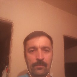 �����, ������, 53 ����