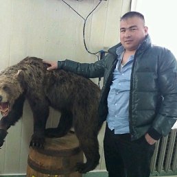 ������, �������, 41 ���