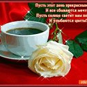 ���� �������, ������, 63 ���� - ��������� 17 ������� 2019 � ������ ���� ����������