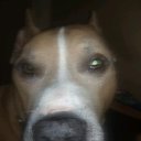 ���� ������, ������, 38 ��� - ��������� 24 ������� 2019