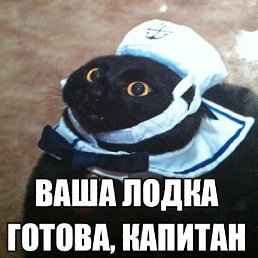 ���� ������, ����������, 35 ��� - ��������� 12 ������ 2019