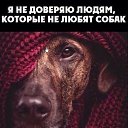 ���� ������, �����-��������� - ��������� 17 ���� 2019 � ������ ������ ��������