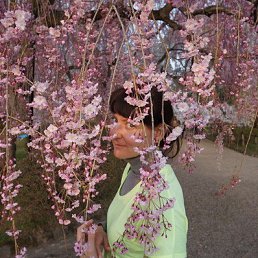 ����, �����, 41 ���