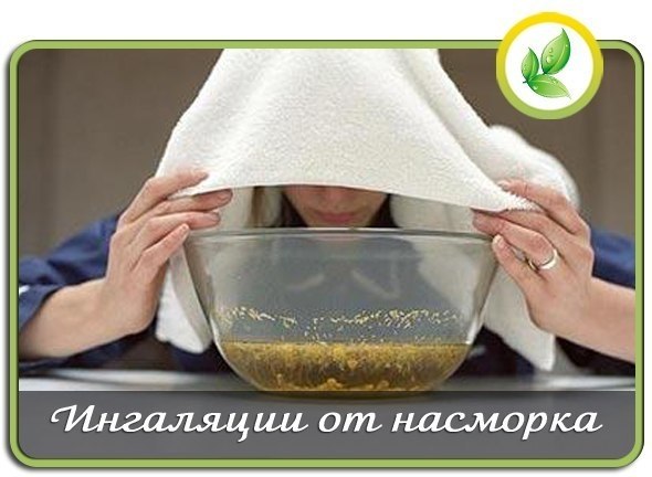 ИНГАЛЯЦИИ ОТ НАСМОРКА: РЕЦЕПТЫ НА ОСНОВЕ ТРАВ И ЭФИРНЫХ МАСЕЛ. Лечиться мы привыкли каплями, но, увы ...