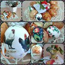 ���� Bee, ������� - ��������� 3 ��� 2019 � ������ ���� ����������