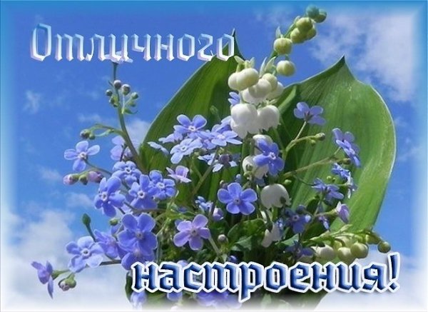   ,    . - 24  2019  14:58