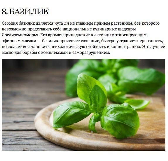 Запахи, которые взбодрят, успокоят и подарят радость.#полезное@ican - 8