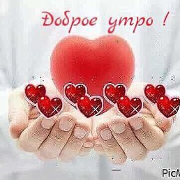 ���� �������, ������� - ��������� 22 ��� 2019