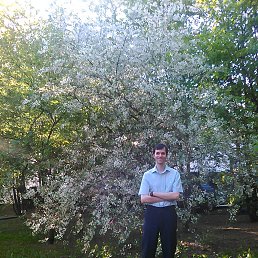 ����, ������, 43 ����