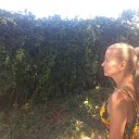 ���� @���@, �����-���������, 48 ��� - ��������� 8 �������� 2019 � ������ ������ ��������