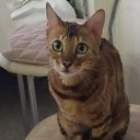 ���� ������, ����� - ��������� 25 �������� 2019 � ������ ���� ����������