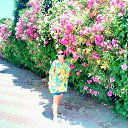 ���� �����, ������, 43 ���� - ��������� 13 ������� 2019 � ������ ���� ����������