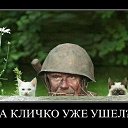  ,  , 68  -  31  2019    