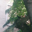 ���� Kd�������, �������, 48 ��� - ��������� 9 ���� 2019 � ������ �����������