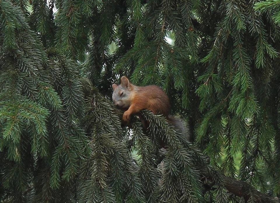После рабочего дня