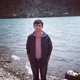 �����, �������, 37 ���