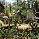 ���� �������, ������, 84 ���� - ��������� 12 ������� 2019 � ������ ���� ����������