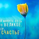 ���� ��..., ������, 50 ��� - ��������� 6 ���� 2019 � ������ ���� ����������