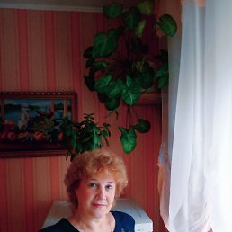 �����, �����, 66 ���