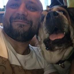 �����, ������