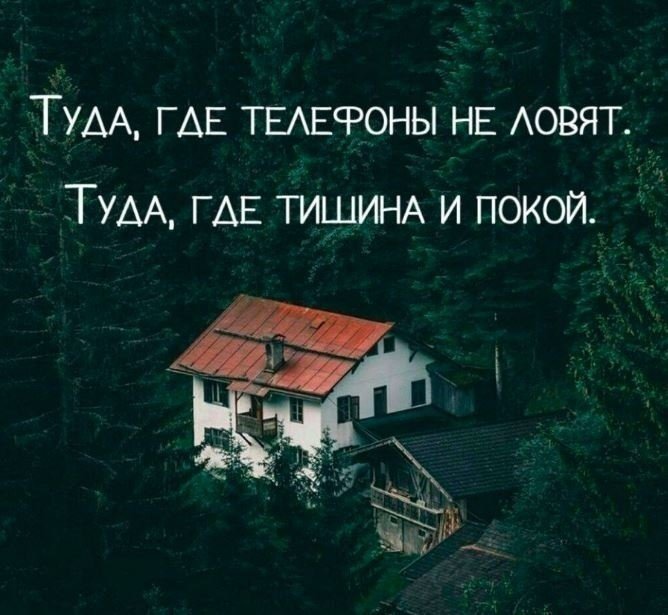 У меня там никого не живет. Хочется тишины и покоя. Тишина и покой цитаты. Тишина цитаты. Цитаты про дом.