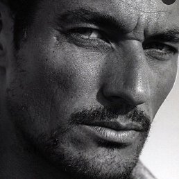 �������, ������, 55 ���