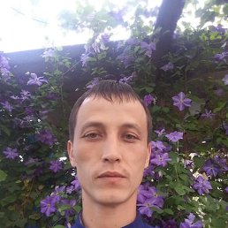 �����, ����, 38 ���