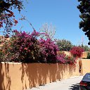 ���� �������, ���������, 49 ��� - ��������� 2 ���� 2019 � ������ ���� ����������