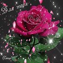 ���� Aleksandr, ����-��� - ��������� 8 ��� 2019 � ������ ������