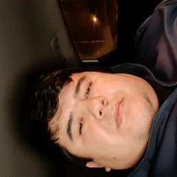 ����, �������, 38 ���