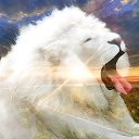 ���� ���������, ���������, 60 ��� - ��������� 9 ������� 2019 � ������ ���� ����������