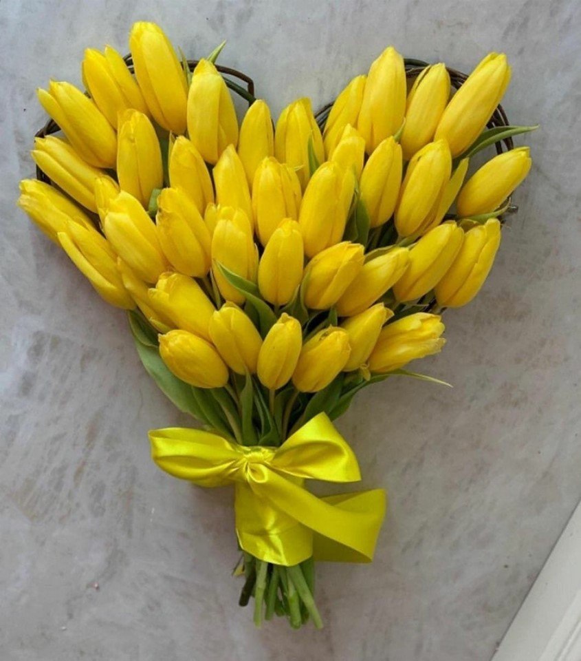   ,    . - 24  2019  14:58 - 3