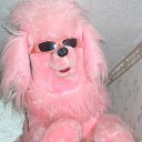 ���� ������, ���������, 57 ��� - ��������� 31 ����� 2019 � ������ ������ ��������