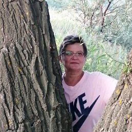 �������, ������, 58 ���