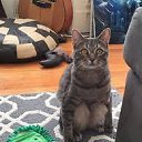 ���� Luch, ������, 50 ��� - ��������� 30 �������� 2019 � ������ ������ ��������