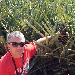 ������, ������������, 54 ����