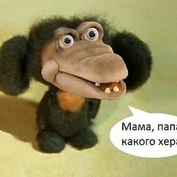 ���� �� ���, ������, 46 ���