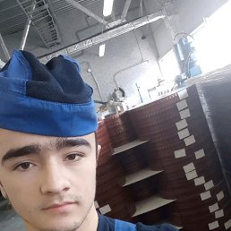 Kamol, �����������, 28 ���